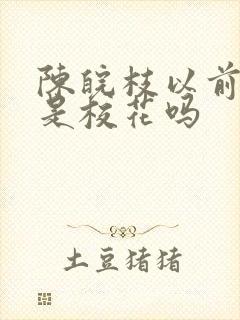 陈皖枝以前真的是校花吗