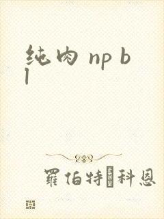 纯肉 np bl