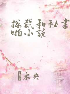 总裁和秘书啪啪啪小说