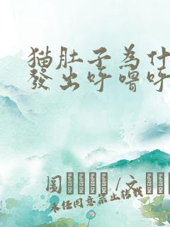 猫肚子为什么会发出呼噜呼噜的声音
