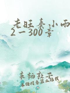 老旺秦小雨102一300章