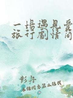 一场遇见爱情的旅行剧情简介
