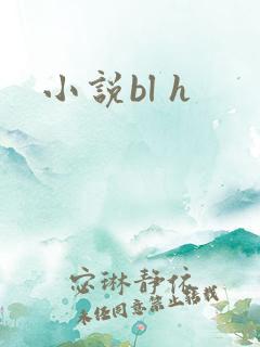 小说bl h