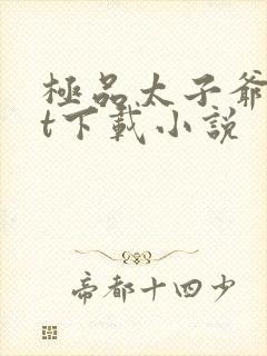 极品太子爷txt下载小说