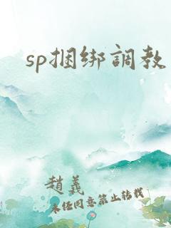 sp捆绑调教文