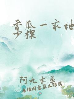 香瓜一亩地种多少棵