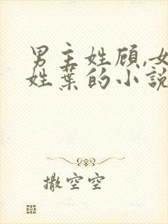 男主姓顾,女主姓叶的小说