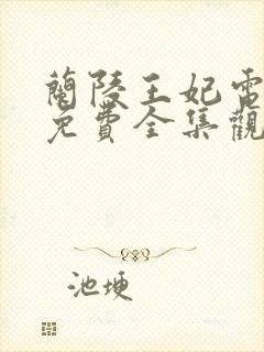 兰陵王妃电视剧免费全集观看