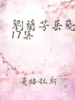 刘兰芳岳飞传117集