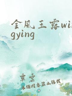 金风玉露wingying