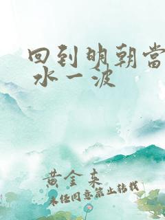 回到明朝当老大 水一波