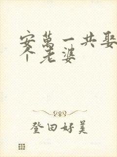 安万一共娶了几个老婆