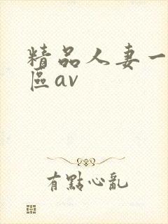 精品人妻一区二区av