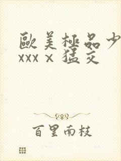 欧美极品少妇xxxxⅹ猛交