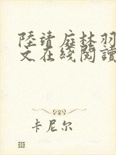 陆靖庭林羽棠全文在线阅读