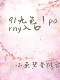 91九色丨porny入口