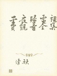 子夜归电视剧免费观看全集高清22