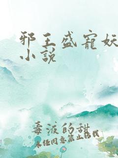 邪王盛宠妖孽妃小说