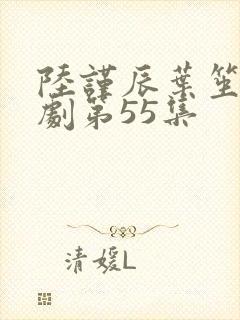 陆谨辰叶笙笙短剧第55集