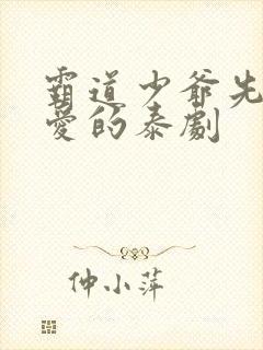 霸道少爷先婚后爱的泰剧