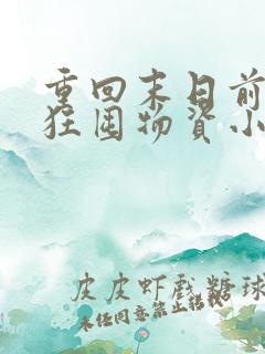 重回末日前我疯狂囤物资小说章节