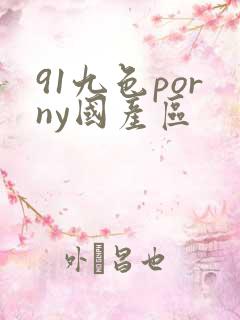 91九色porny国产区