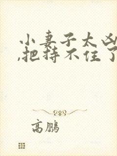 小妻子太凶陆爷,把持不住了免费阅读结局