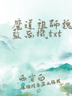 魔道祖师魏无羡蓝忘机txt