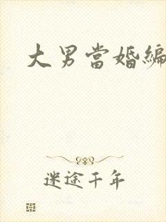 大男当婚编剧