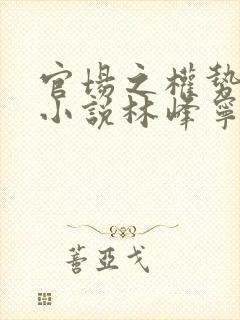 官场之权势滔天小说林峰宁欣