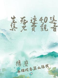 生死连40集全集免费观看星辰影院