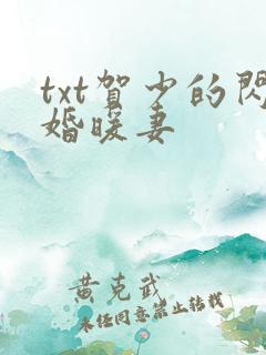txt贺少的闪婚暖妻