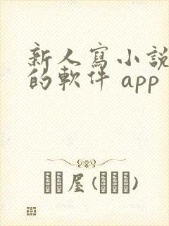 新人写小说赚钱的软件 app