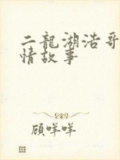 二龙湖浩哥之爱情故事