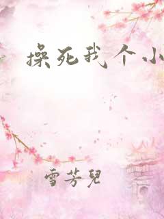 操死我个小骚货