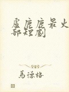 卢鹿鹿最火的十部短剧