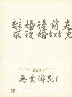 离婚后前夫哭着求复婚txt免费下载
