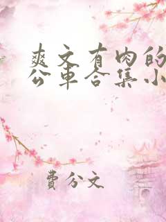 爽文有肉的短篇公车合集小说