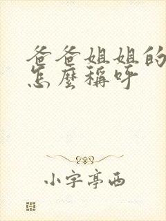 爸爸姐姐的丈夫怎么称呼