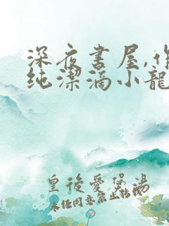 深夜书屋,作者纯洁滴小龙