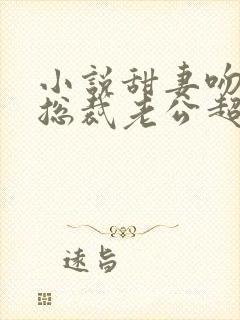 小说甜妻吻安:总裁老公超棒的
