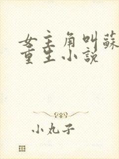 女主角叫苏婉的重生小说