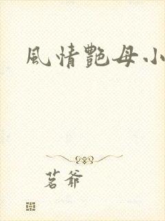 风情艳母小说