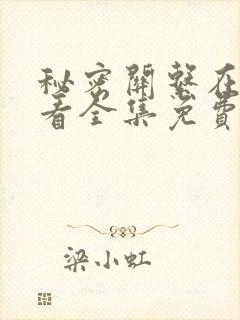 秘密关系在线观看全集免费