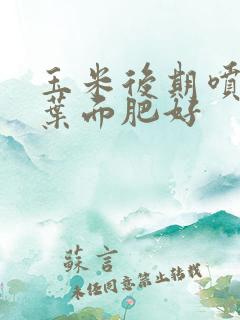 玉米后期喷什么叶面肥好