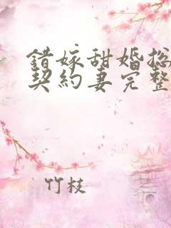 错嫁甜婚总裁的契约妻完整版