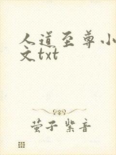 人道至尊小说全文txt