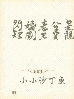 闪婚老公是豪门短剧免费观看完整版