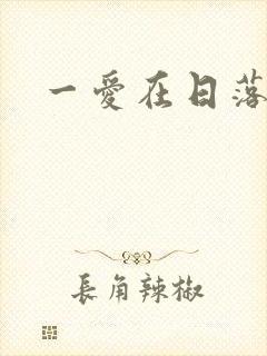 一爱在日落之前