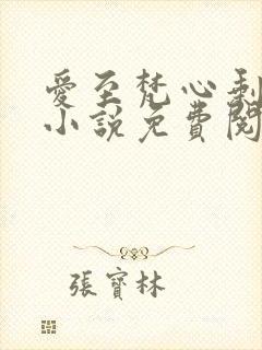 爱至梵心剩微光小说免费阅读笔趣阁